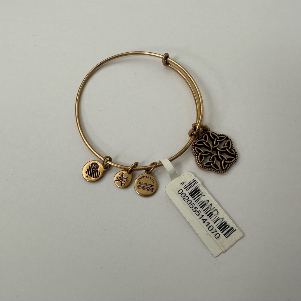 Alex and Ani Forever Knot and Bracelet